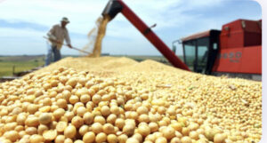 Mercado: Sojicultor precisa de gestão para garantir bons preços