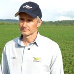 Arroz de terras altas se torna opção atrativa de 2ª safra entre produtores do norte de Mato Grosso